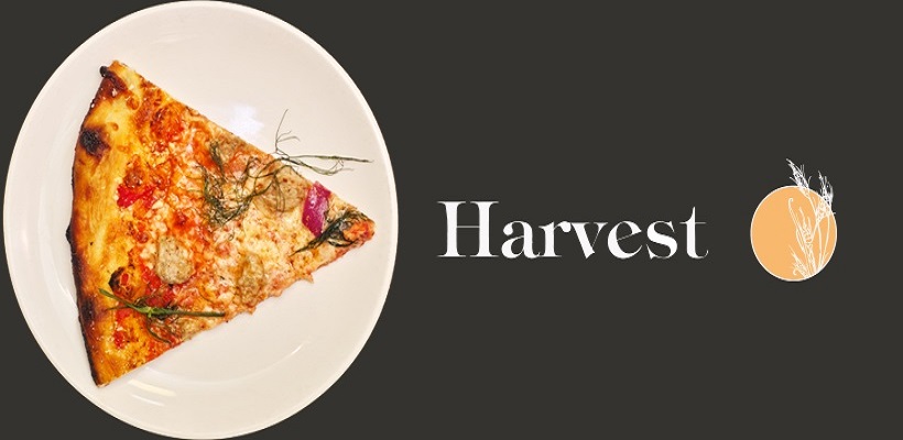harvest bar and kitchen columbus menu