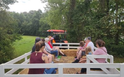 4 Family-Friendly Hayrides to Experience This Fall