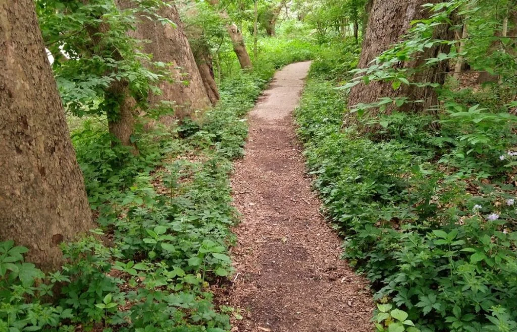 Olentangy Trail