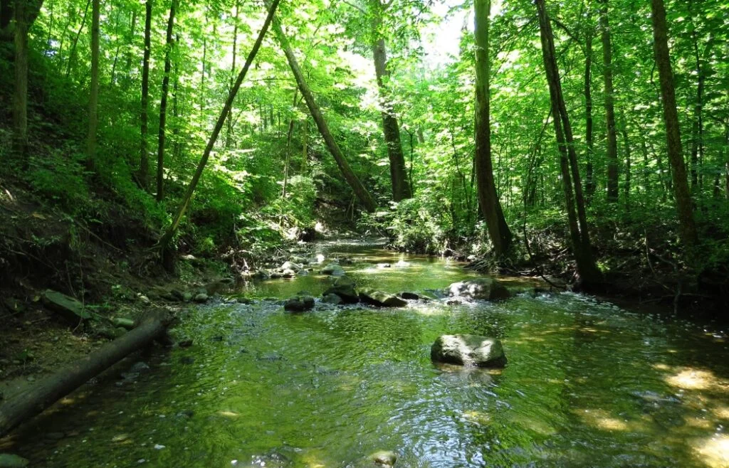 Sharon Woods Metro Park