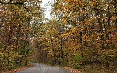5 Awesome Places to See Fall Leaves in Central OH