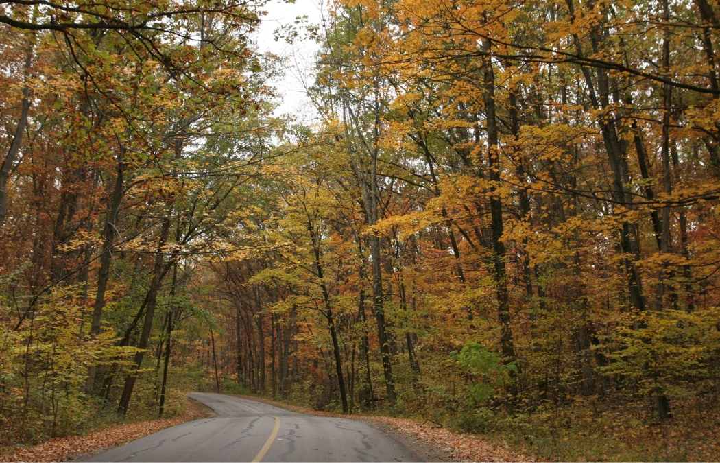 5 Awesome Places to See Fall Leaves in Central OH