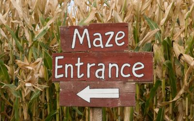 3 Spots To Get Lost In a Corn Maze This Fall in Central OH