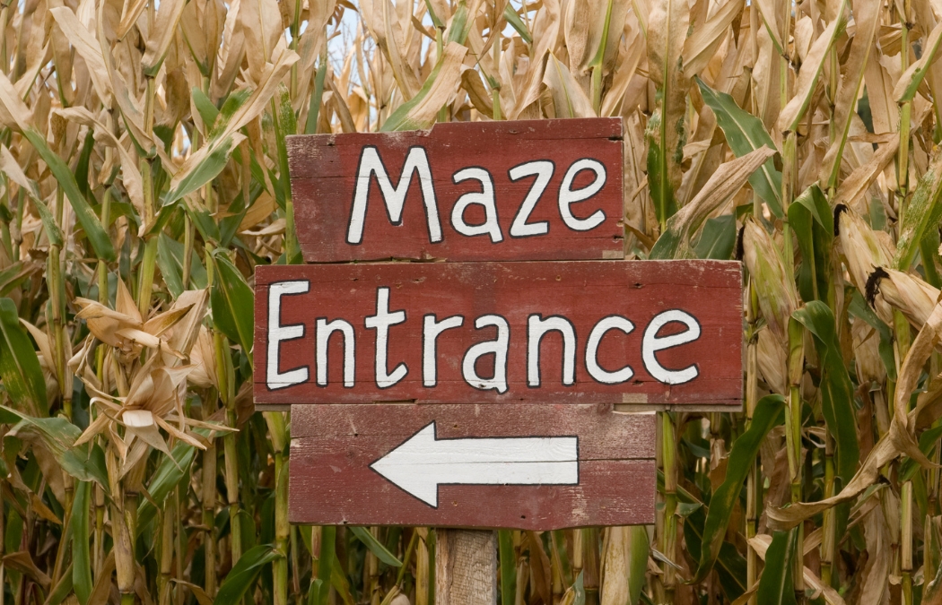 3 Spots To Get Lost In a Corn Maze This Fall in Central OH