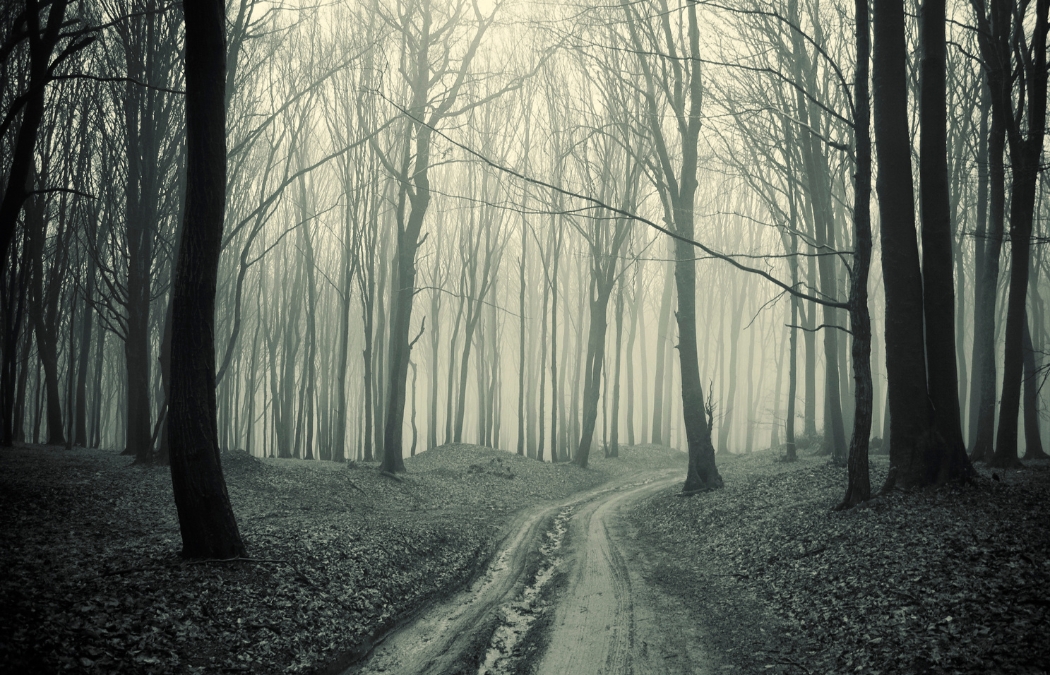 4 Haunted Fall Hayrides to Enjoy this Fall In Central OH 2023