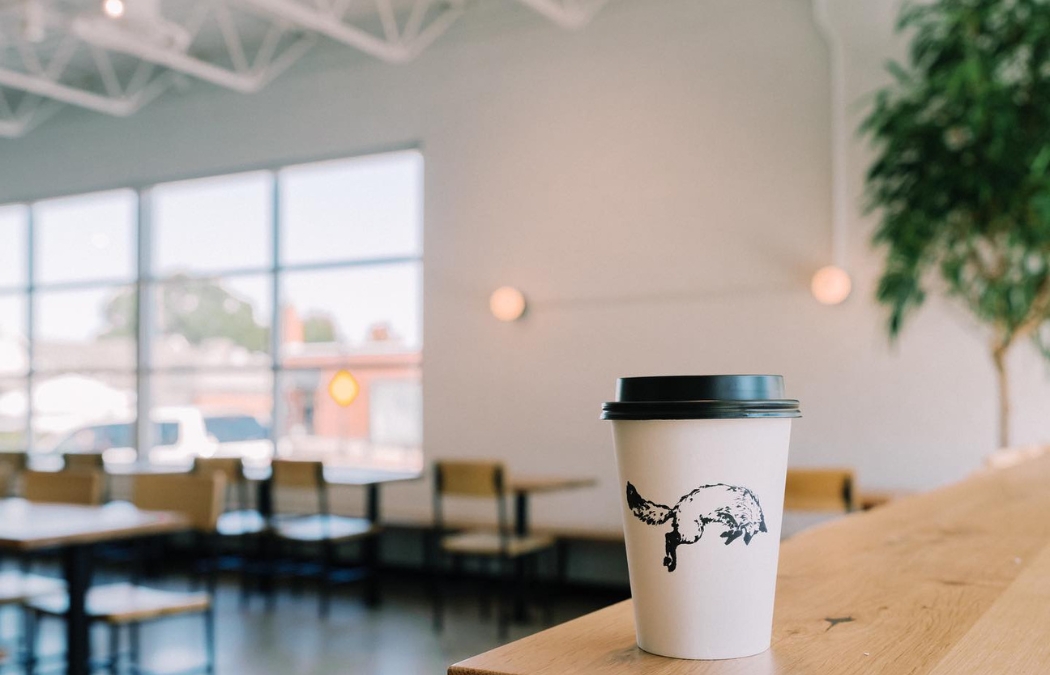 The New Fox in Snow Cafe Location in Dublin is Perfection