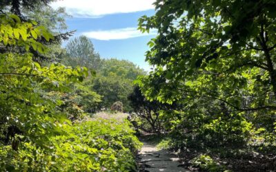Hidden Sanctuaries in Central Ohio That You Need to Know About
