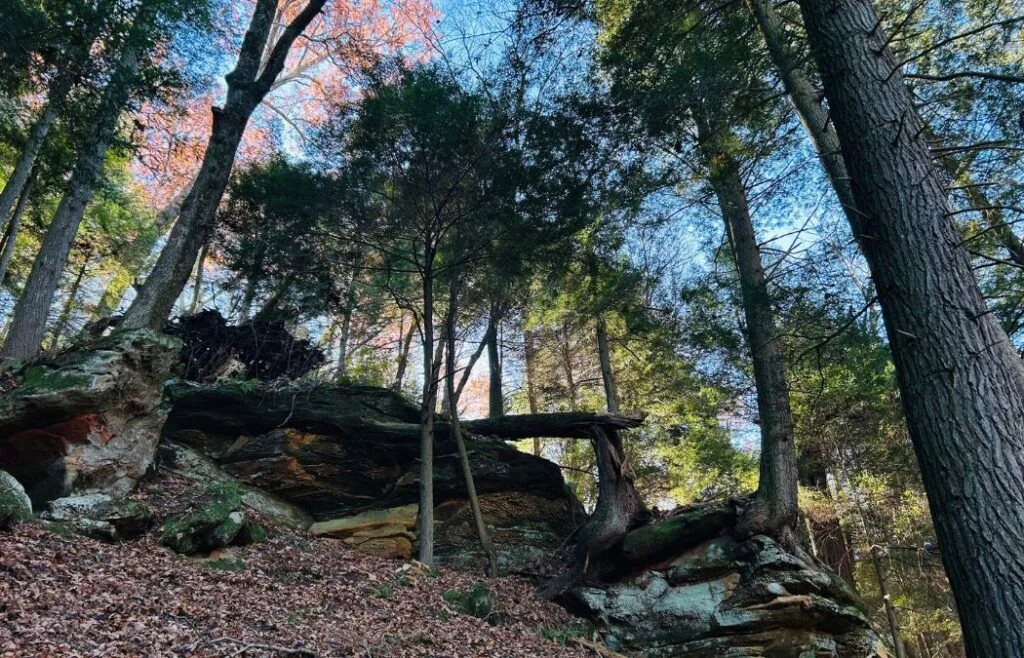 Clear Creek Metro Park