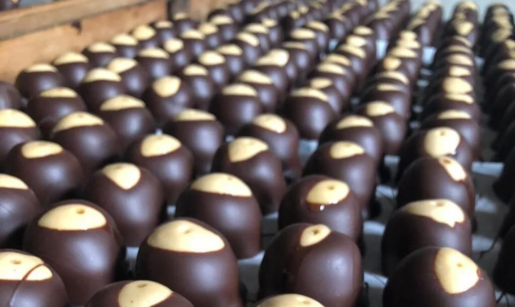 Eagle Family Buckeyes