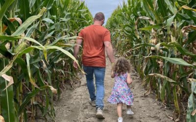 Lost in the Cornfield: The Best Corn Mazes in Columbus and Central Ohio