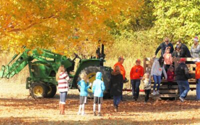 The Best Hayrides to Experience This Fall in Columbus and Central Ohio