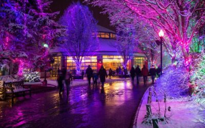 30+ Can’t Miss Things to Do in Central Ohio This November (Before the Winter Chill Hits)