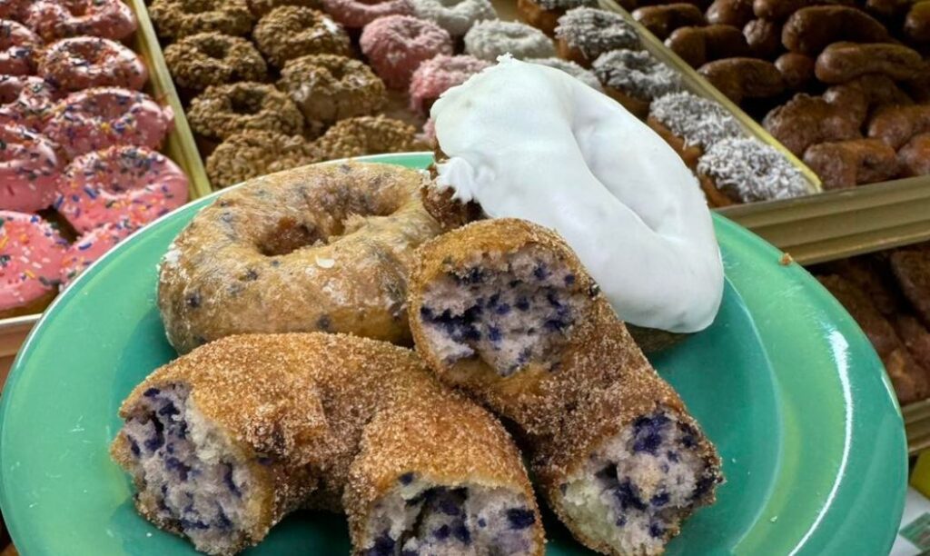 Blueberry Cinnamon Sugar Donuts, with an assortment of donuts in the background from Donald's Donuts in Zanesville, Ohio.