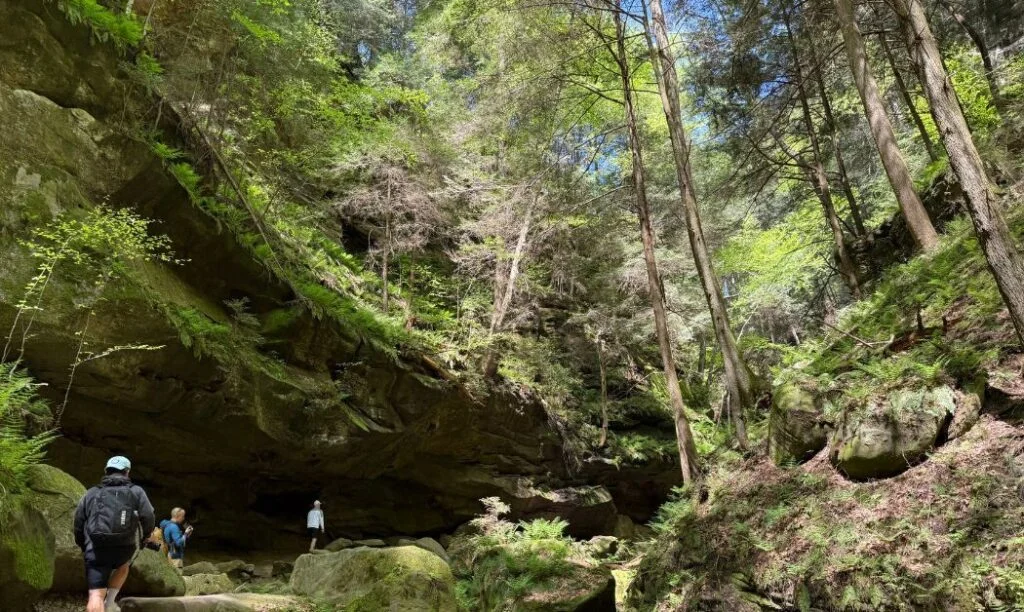 3 hikers exploring the gorge, surrounded by rock formations, trees and lush ferns.