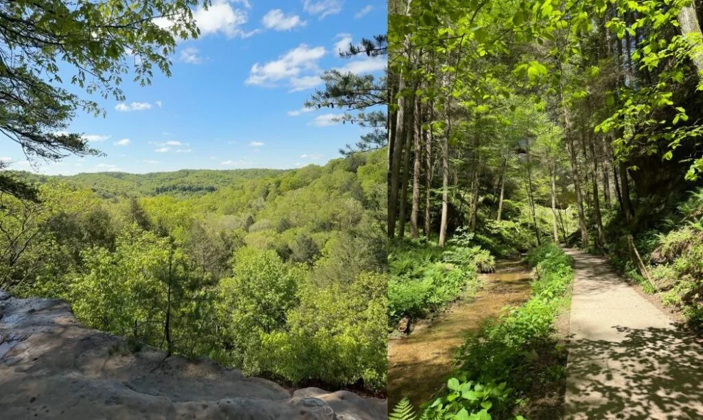 Overlooking the Appalachian Foothills from the Rim Trail and the lush greenery on the Gorge Trail at Conkle's Hollow State Nature Preserve.