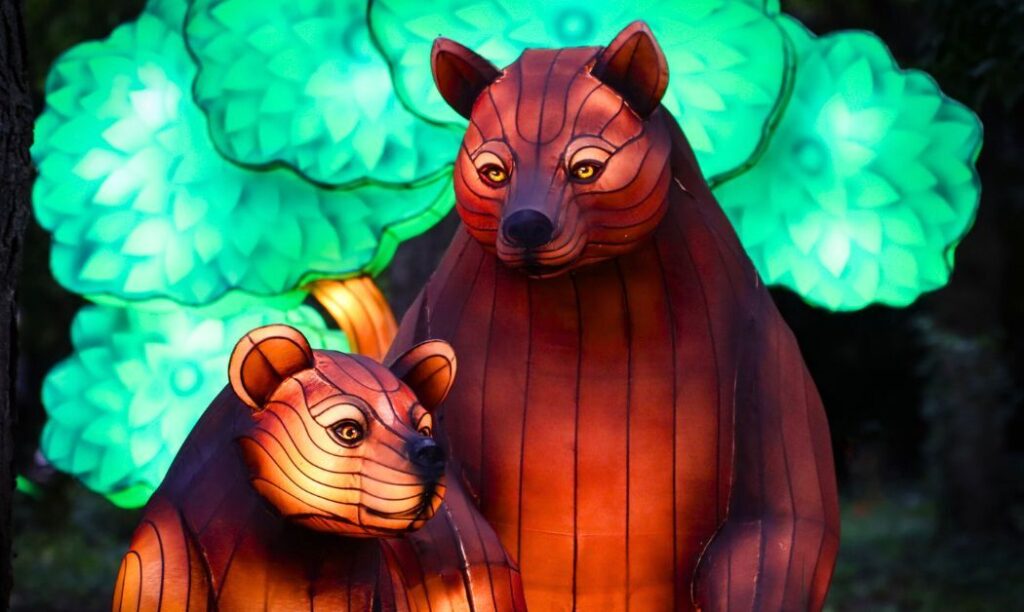 Two bears at the Columbus Zoo and Aquarium's Lantern Festival