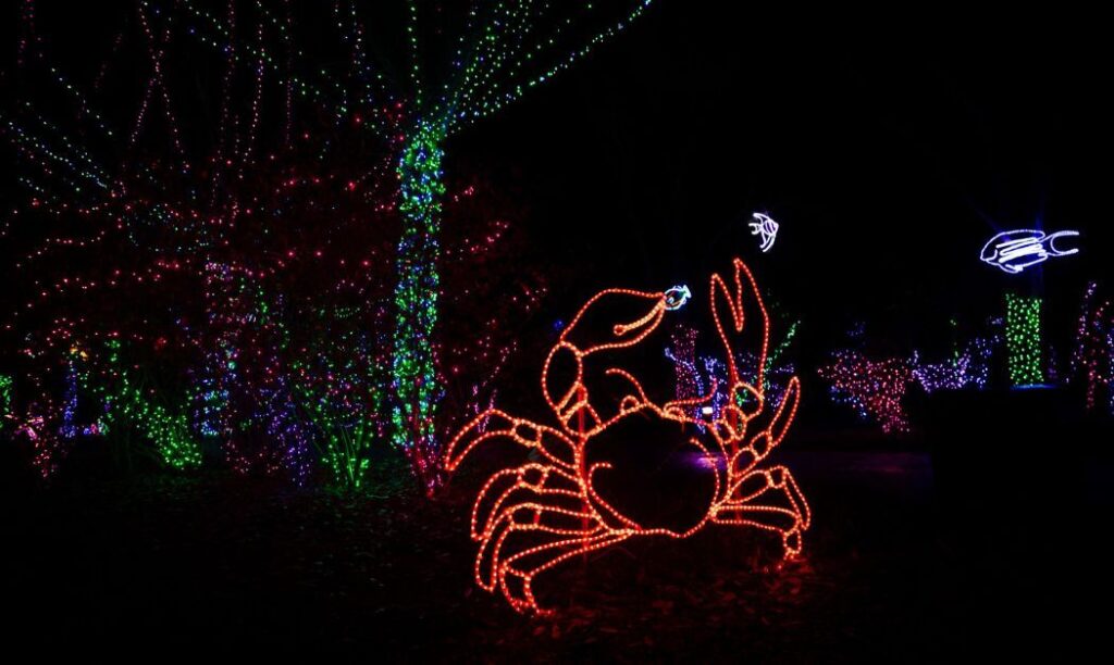 A crab sculpture lit up at Wildlights at the Columbus Zoo and Aquarium
