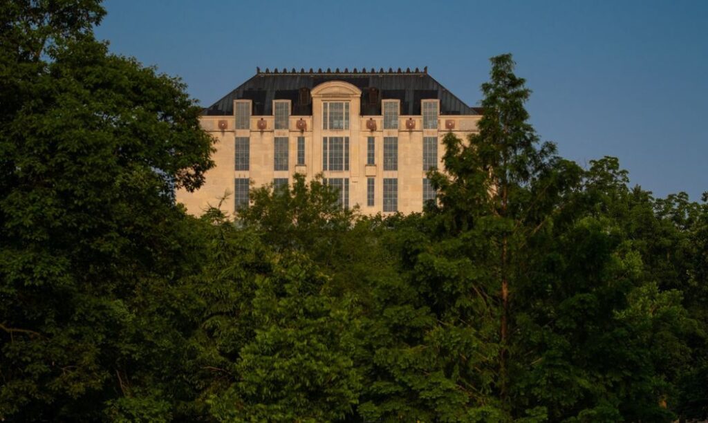 The top of Thompson Library peaking out over trees at sunset.