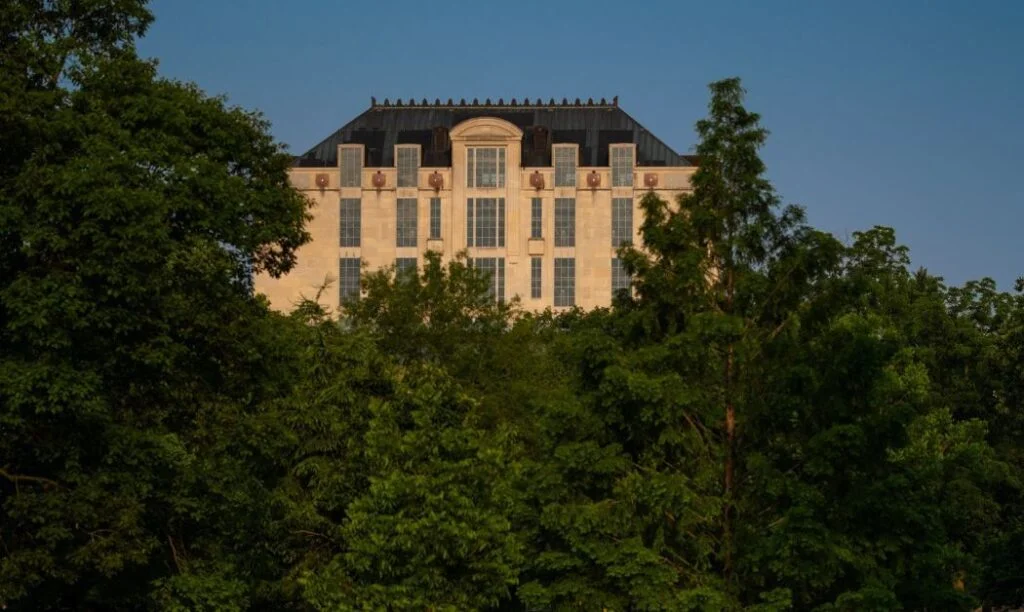 The top of Thompson Library peaking out over trees at sunset.